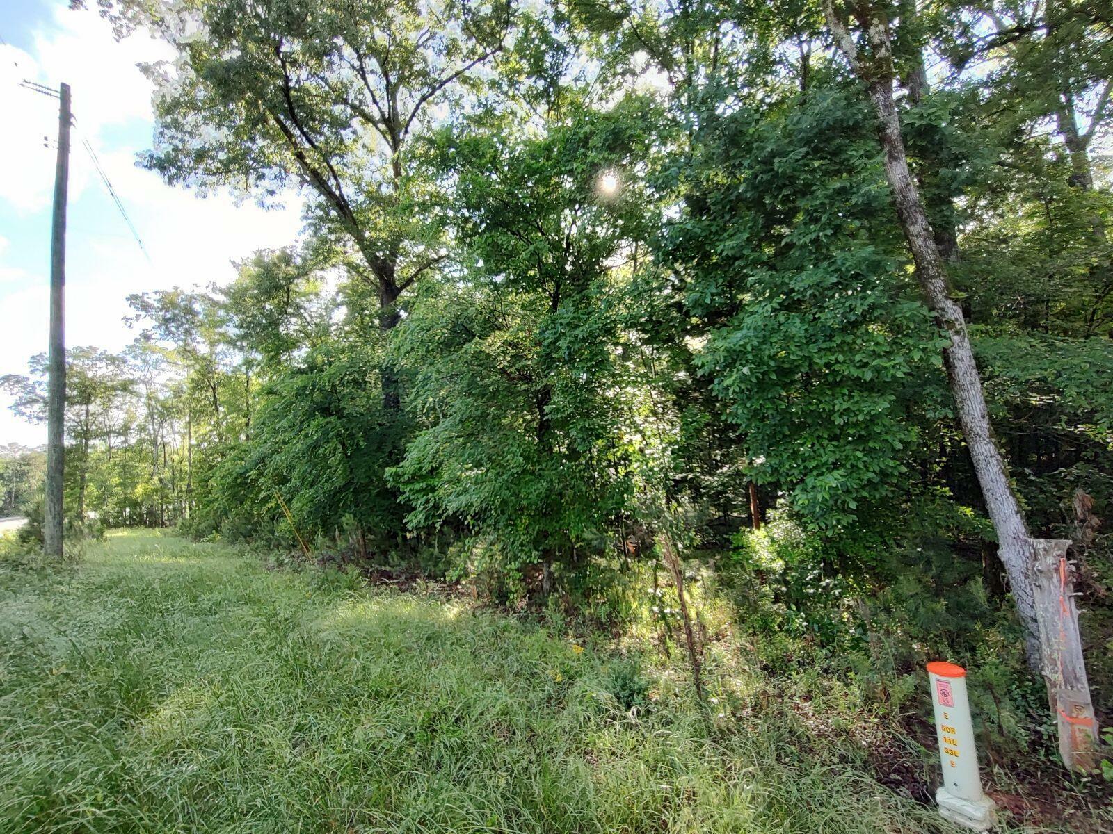 Property Photo: 000 Bellewood Drive Lot B GA 30673