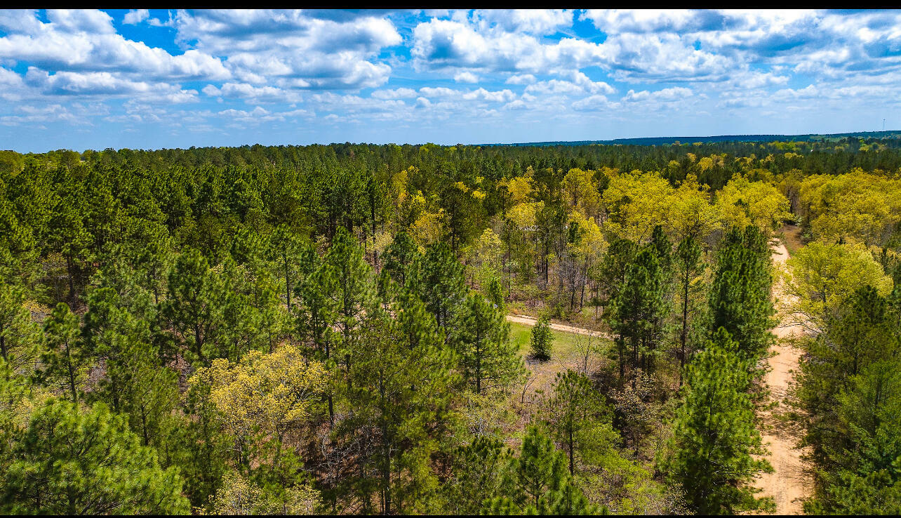 Property Photo: Lot 4 Bluffwood Road SC 29164