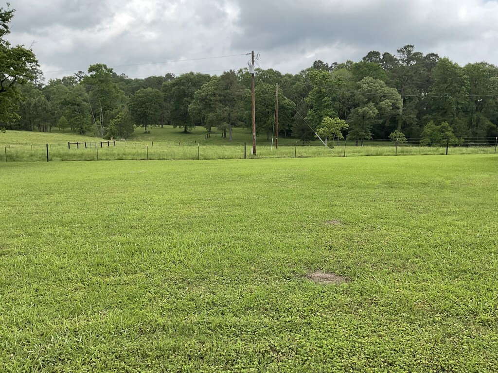 Property Photo: 1423 Thornton Road TX 75949