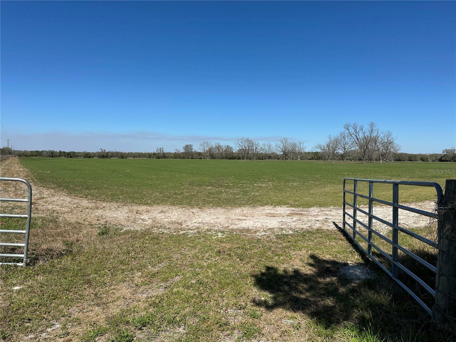 Property Photo: 9510 228th Terrace FL 32071