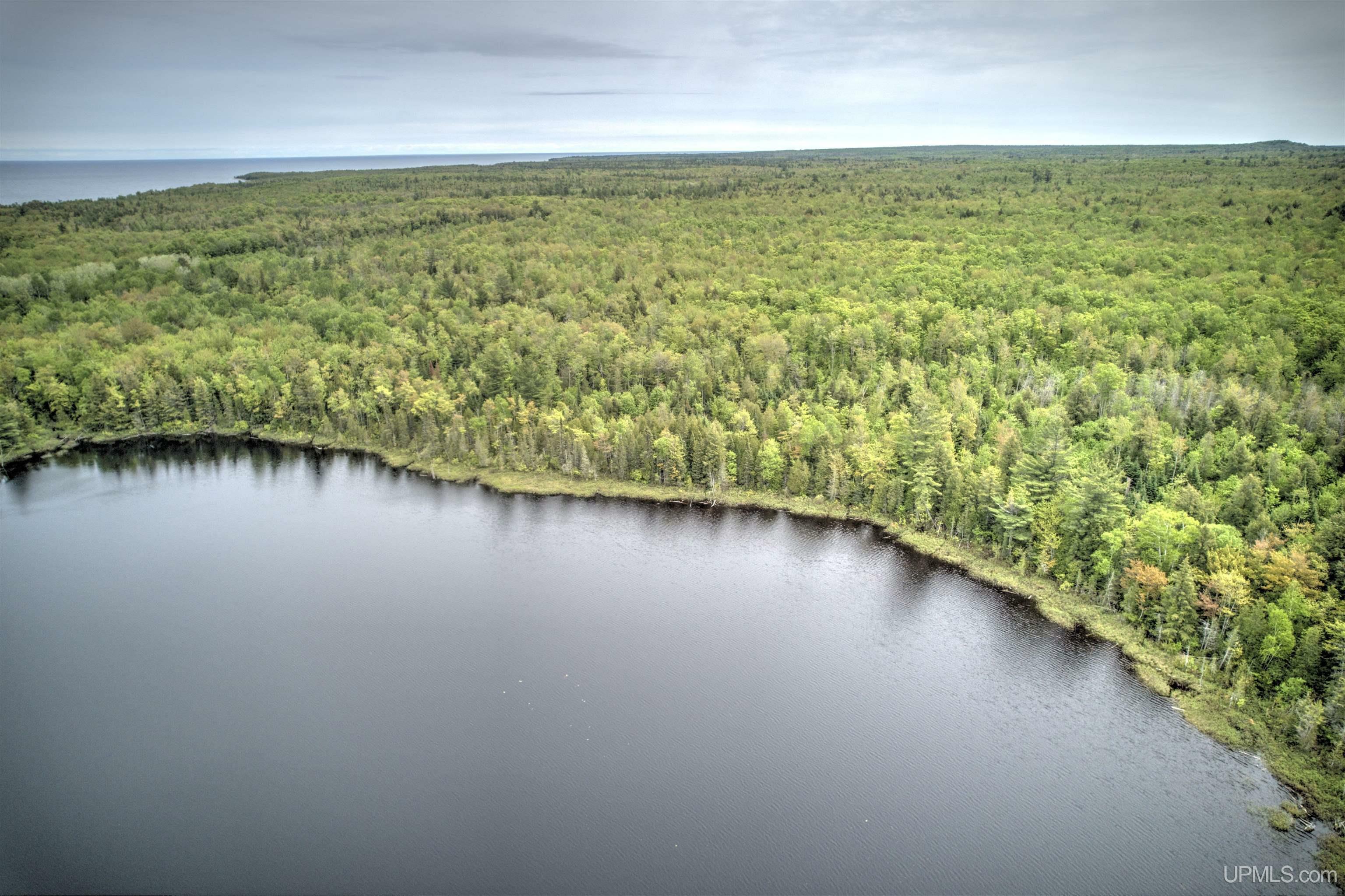 Property Photo: Tbd Sigan Road MI 49822