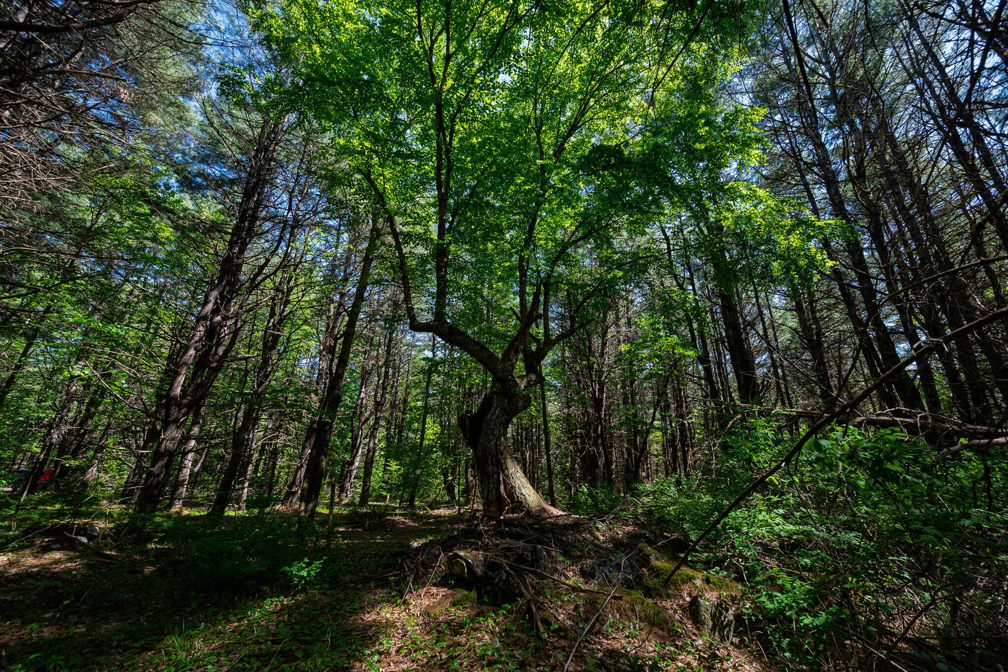 Property Photo: Lot 8 Murray Road ME 04953
