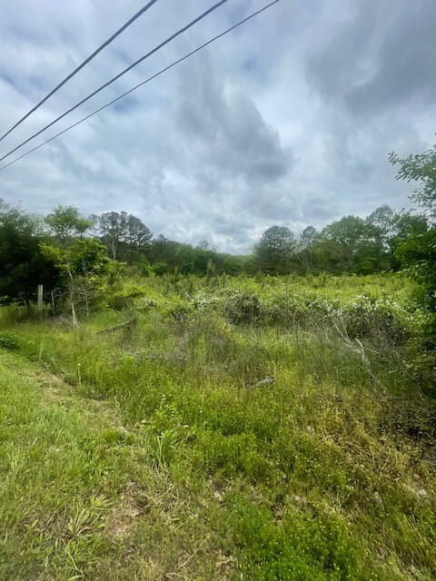 Property Photo: 0 Hayes Rd S TN 38464