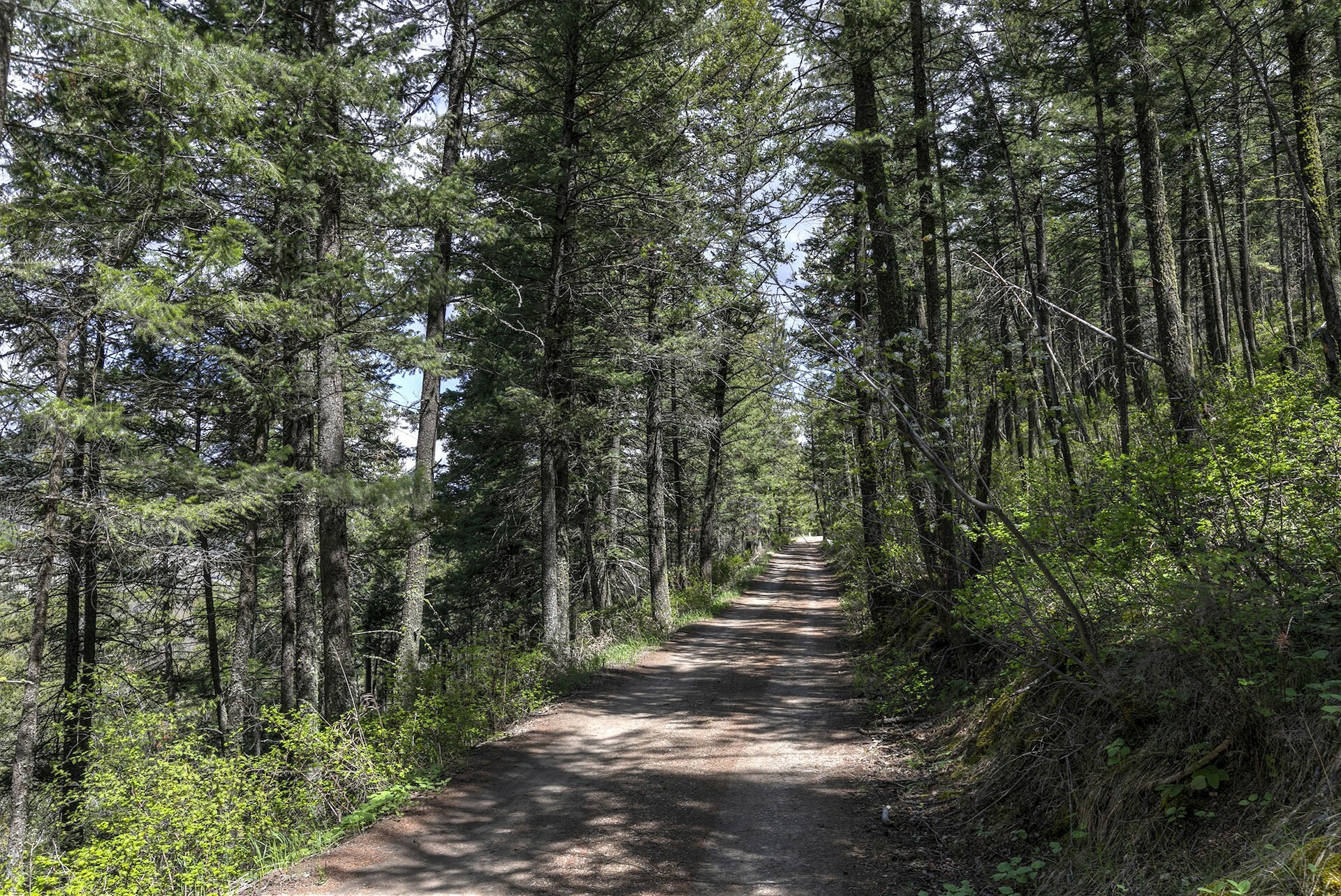 Property Photo: 13275 Balsamroot Road MT 59847