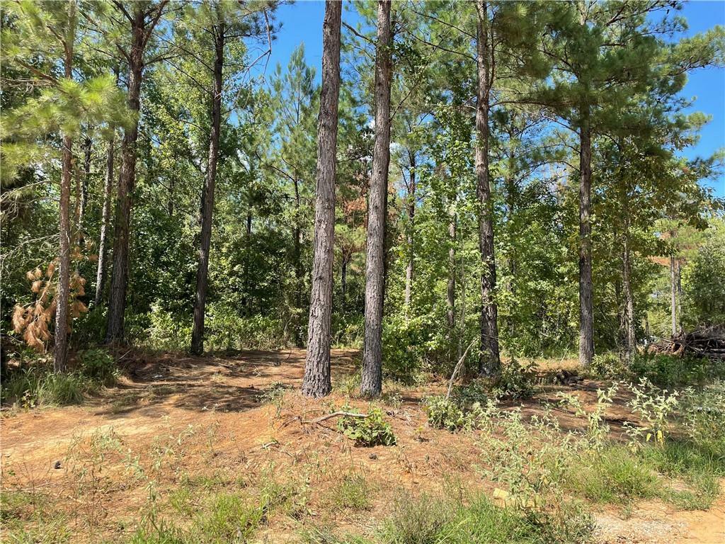 Property Photo: 51 Cedar Hills Trail OK 74728
