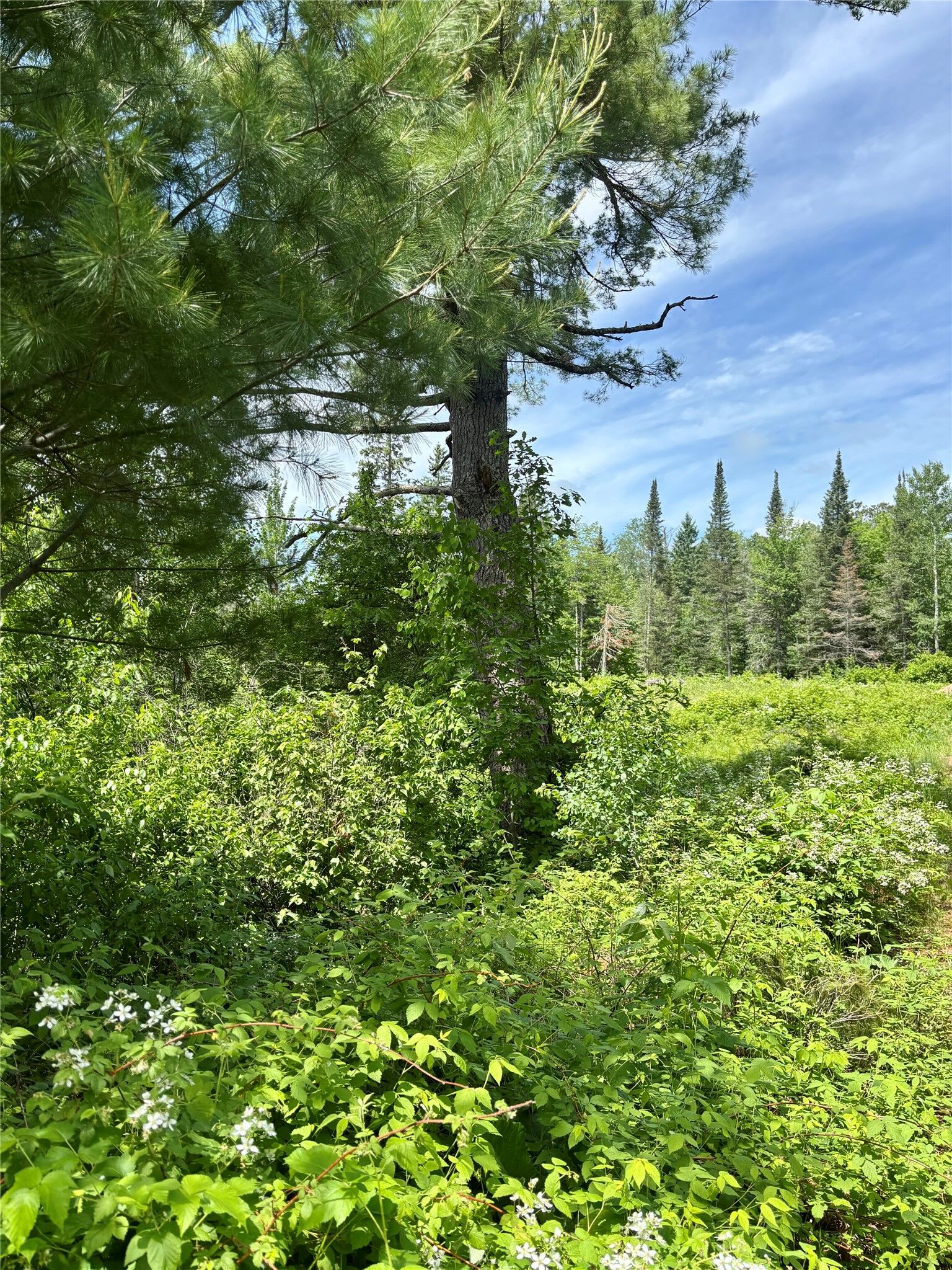 Property Photo:  16550 W Ridgerock Road  WI 54843 