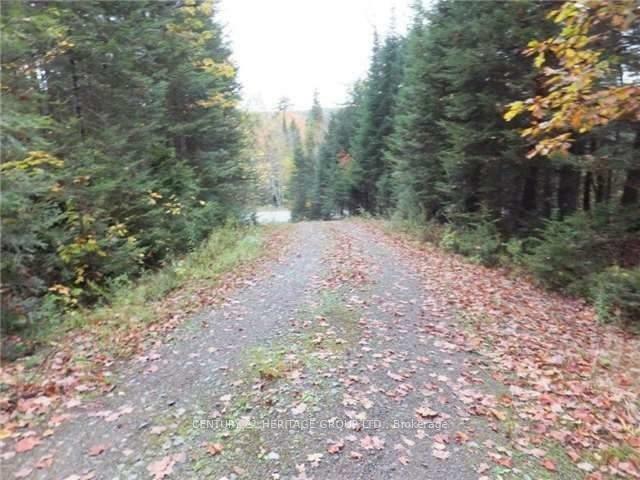 Property Photo:  1646 Kennisis Lake Road  ON K0L 1S0 