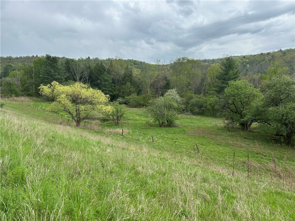 Property Photo: 6424 State Route 417 NY 14801