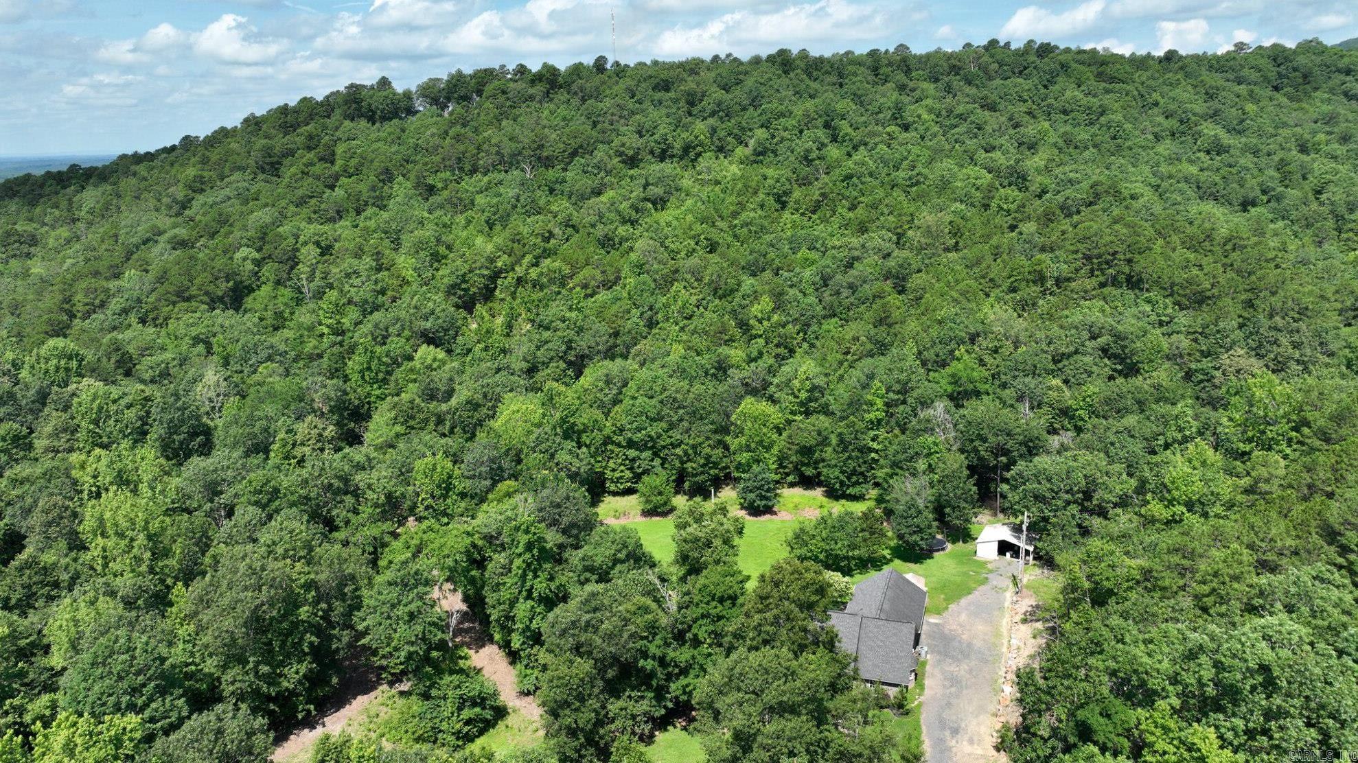 Property Photo:  137 Gone Fishin Lane  AR 71953 