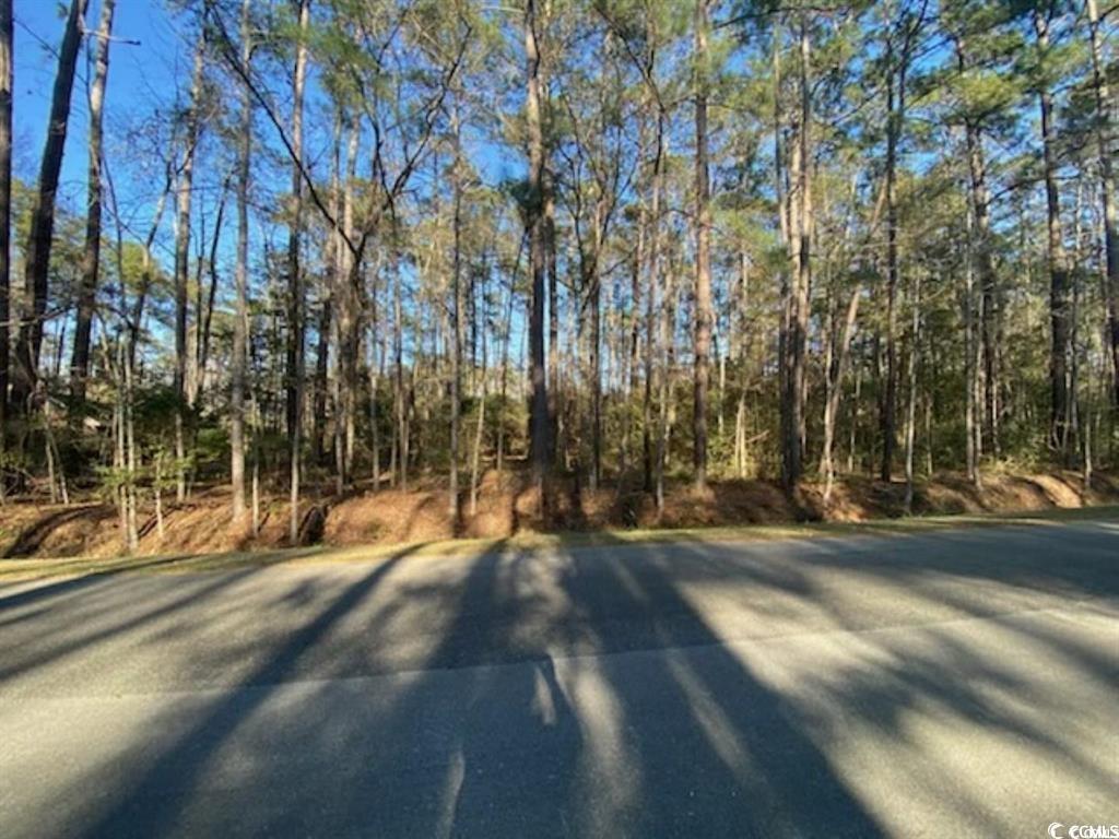 Property Photo: 2 Thicketwood Dr. NC 28467