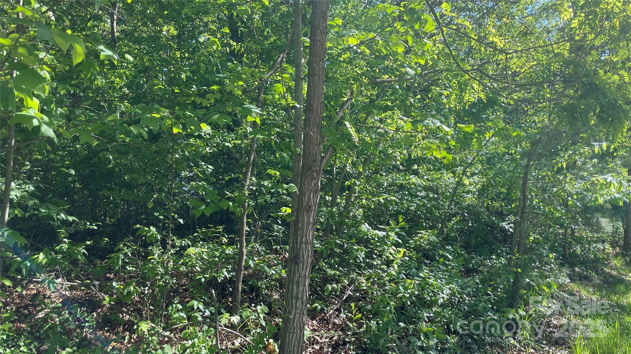 Property Photo: 99999 Bachelder Lane NC 28715