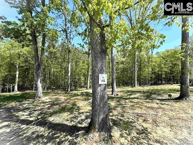 Property Photo: 41 Shoreview SC 29127