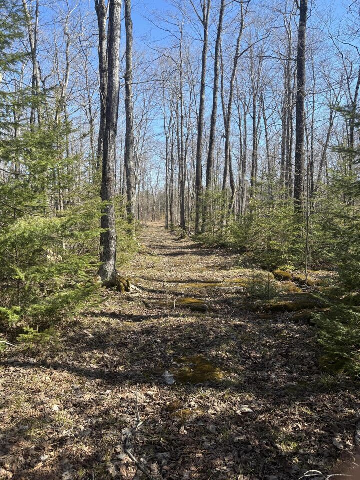 Tbd S Walding Rd  Drummond Island MI 49726 photo