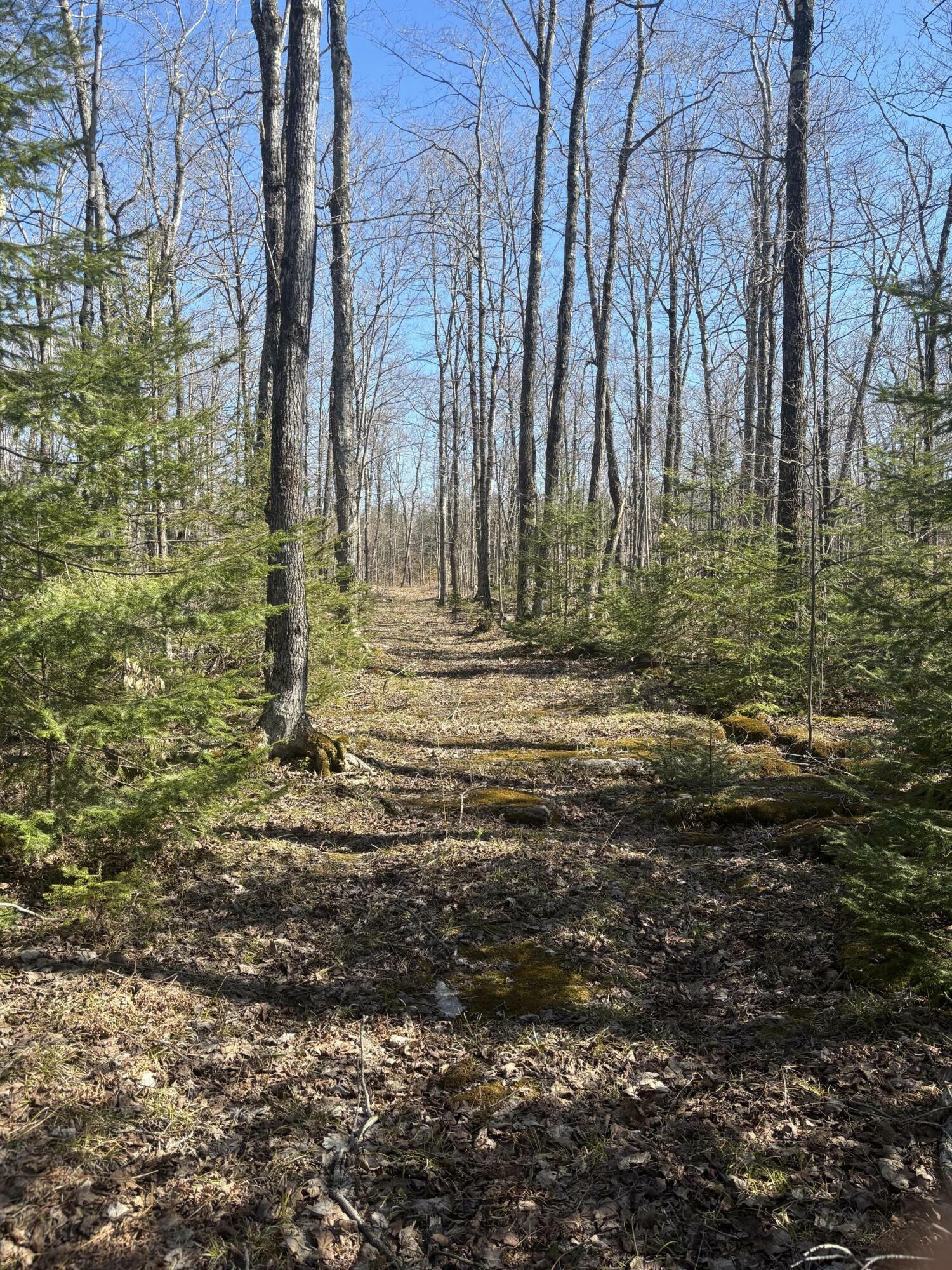 Property Photo: Tbd S Walding Rd MI 49726