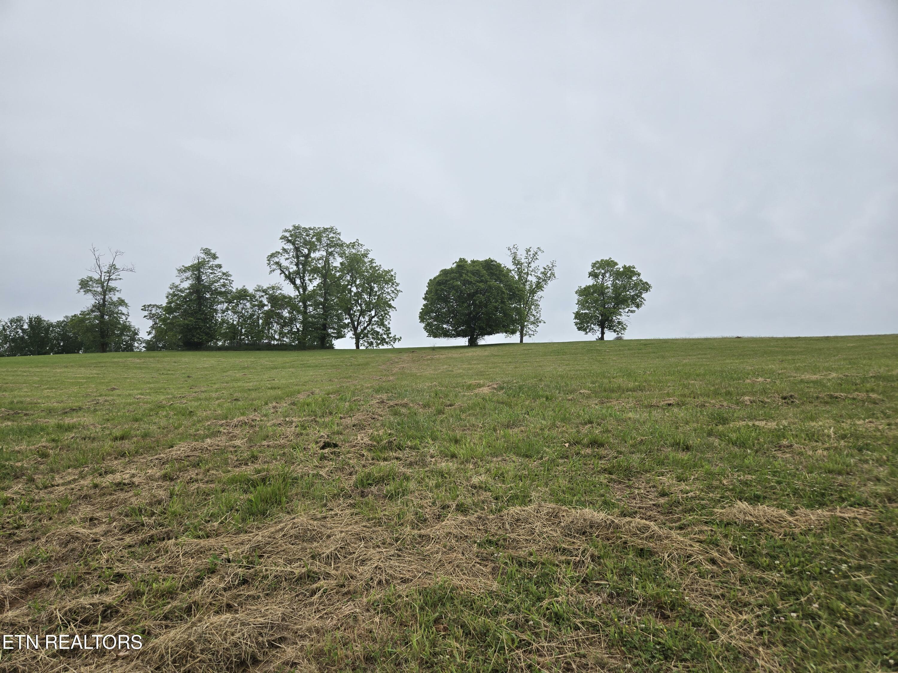 Property Photo: Lot 267 Waterview Way TN 37814