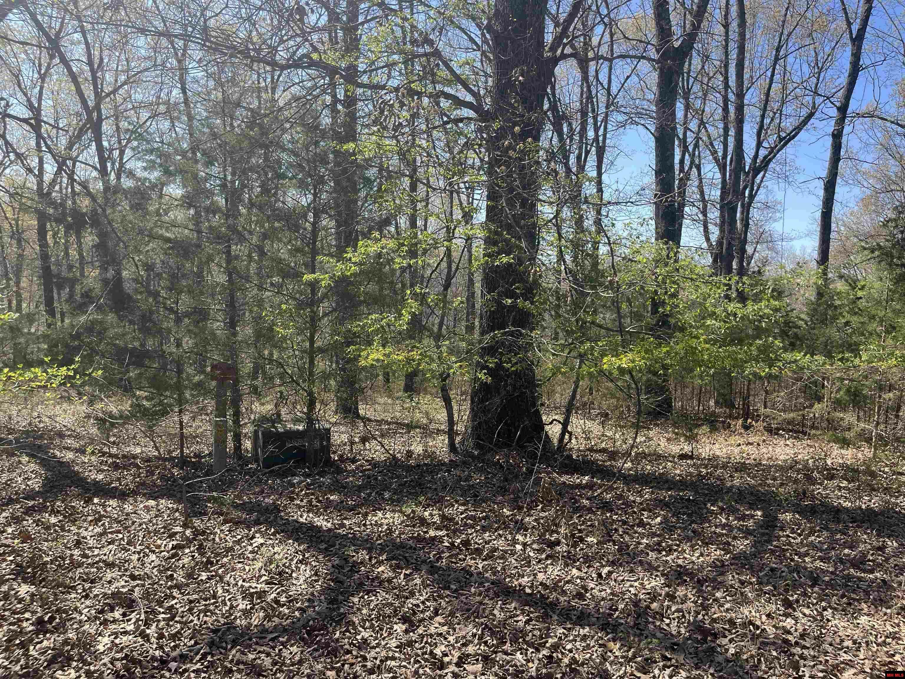 Property Photo: Lot 25 Lakepointe Drive AR 72634