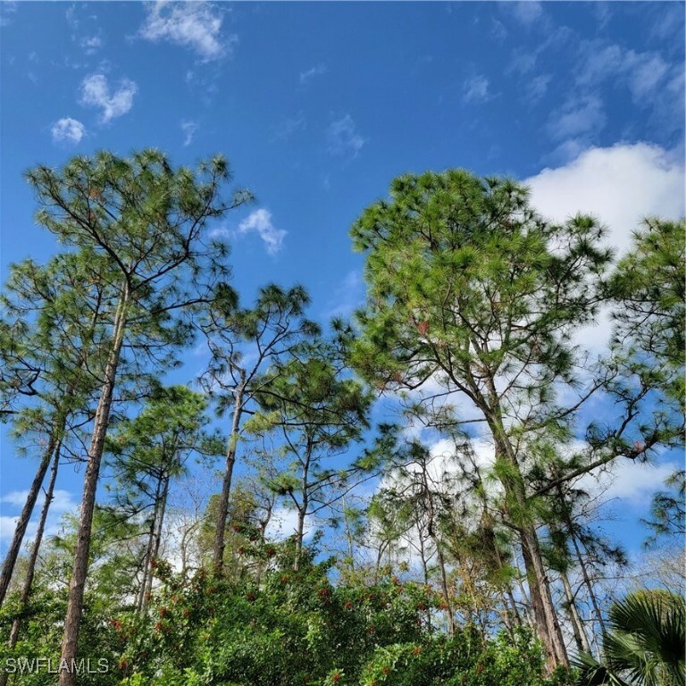 Property Photo: 2nd St NE FL 34120