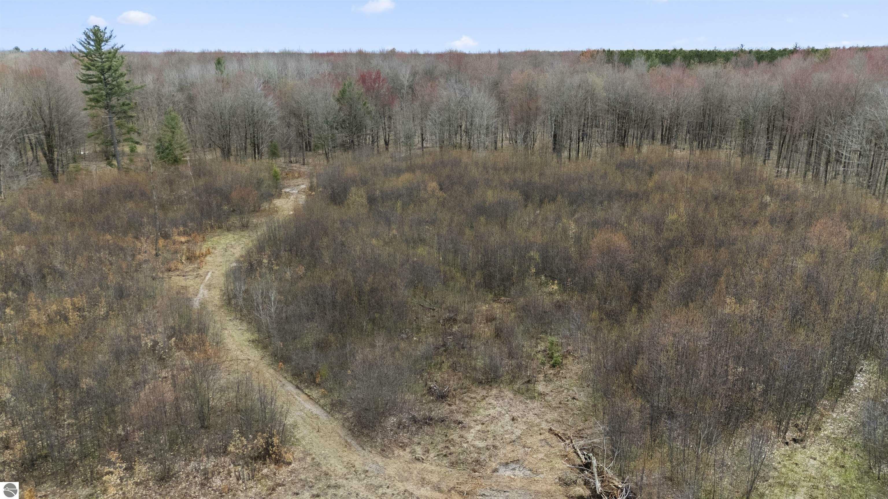 Property Photo: Parcel B E 32 Road Parcel B MI 49601
