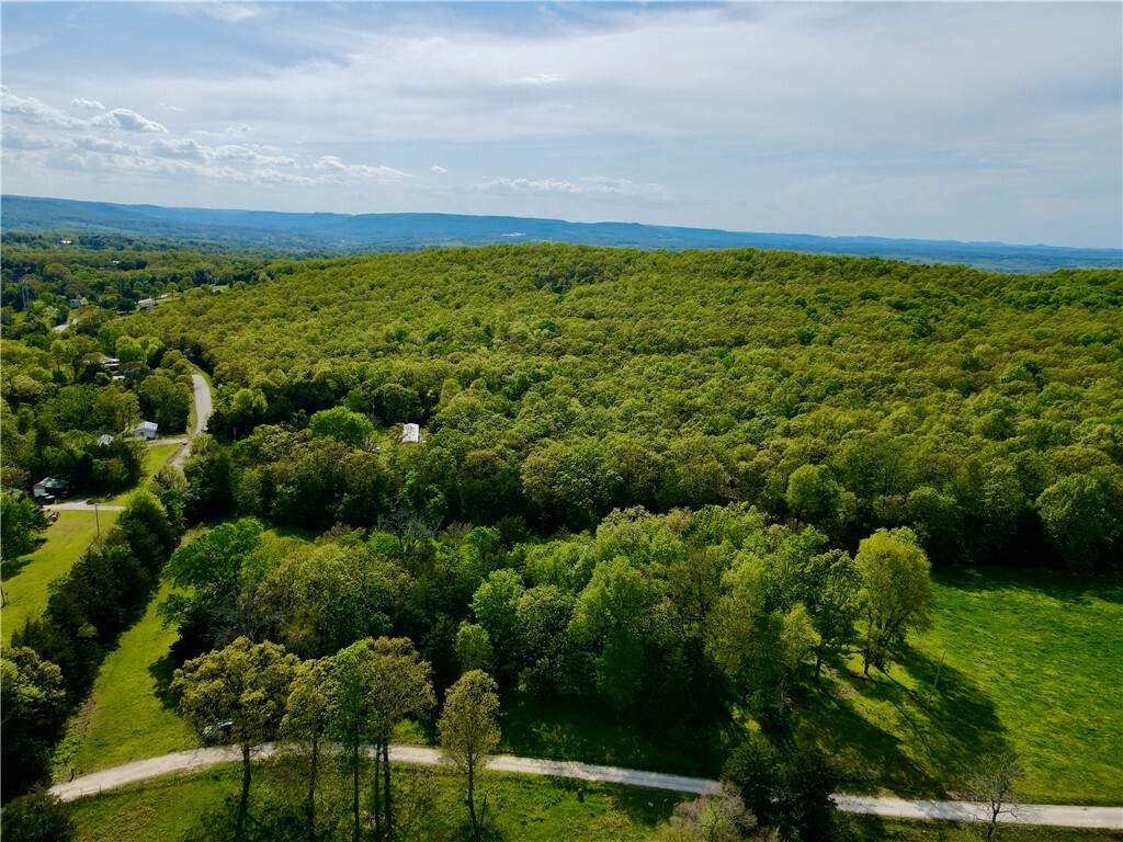 Property Photo:  0000 Dunkard Road  AR 72601 