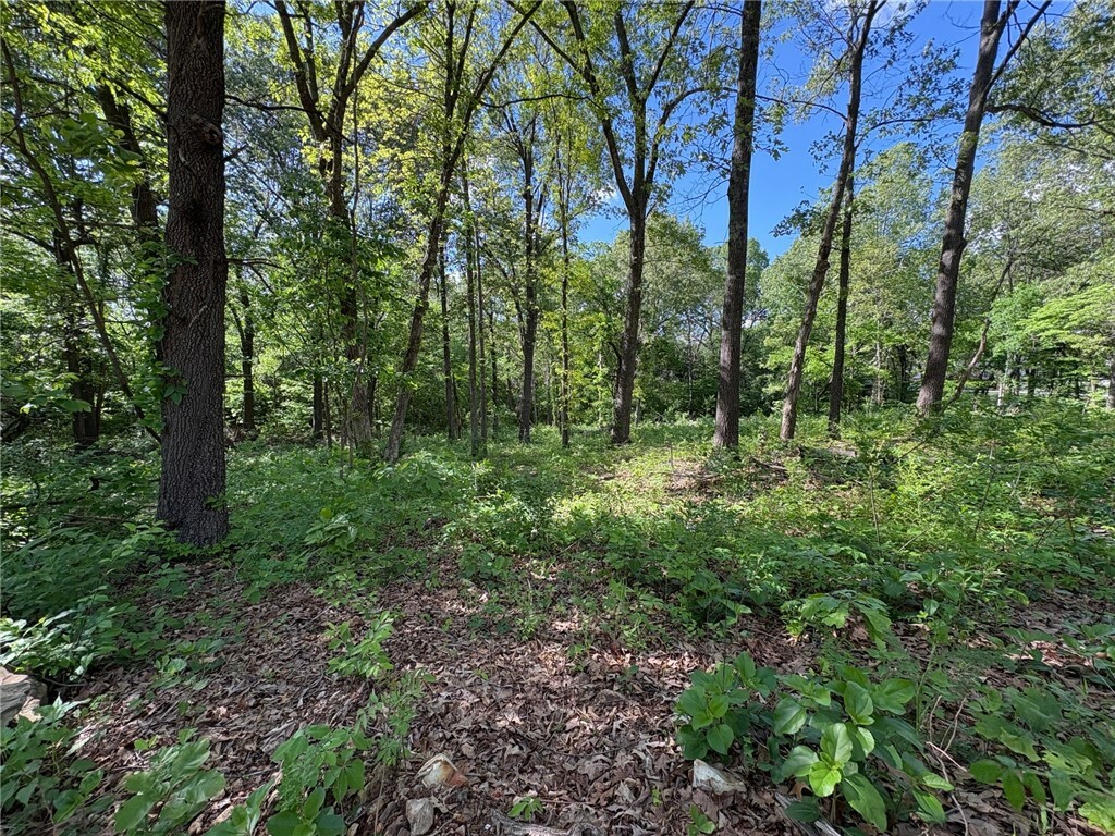 Property Photo: 1760 Lacy Lane AR 72601