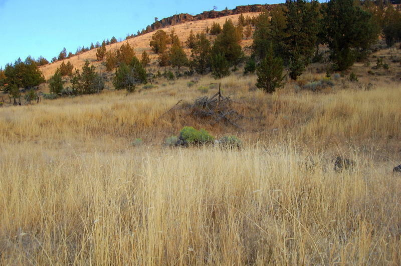 Property Photo: 7600 SW Crestview Road OR 97754