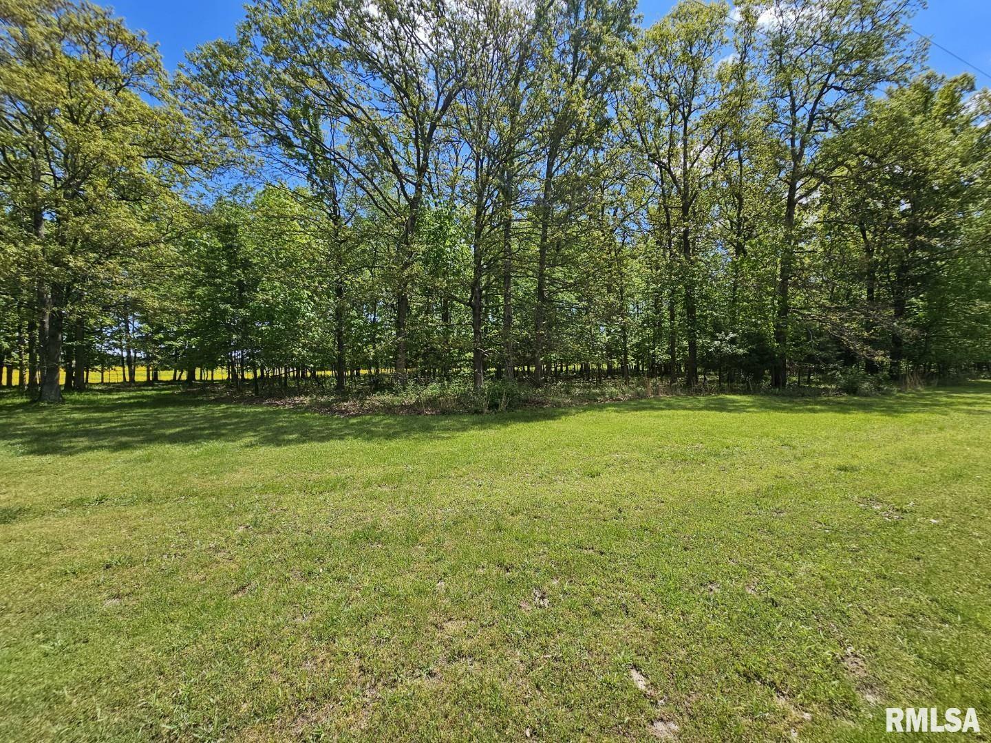Property Photo: Lot 2 N Wildwood Place IL 62830