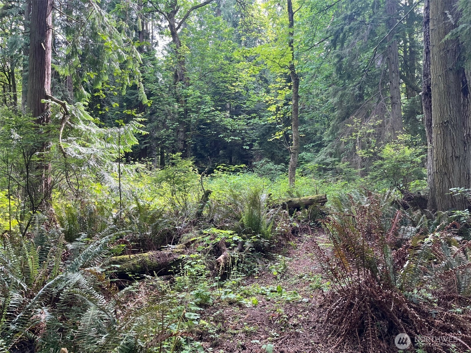 Property Photo: 0 Hoffman Road WA 98346