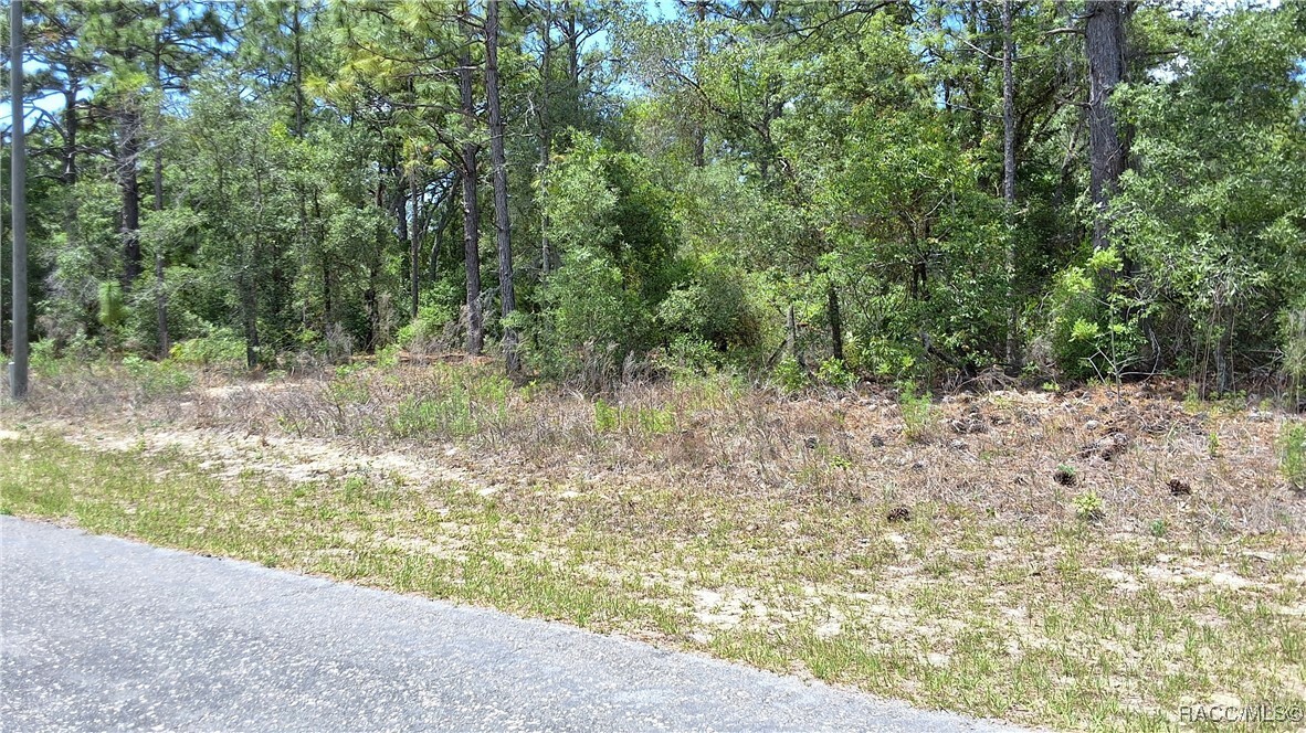 Property Photo: 7238 N Maltese Drive FL 34433