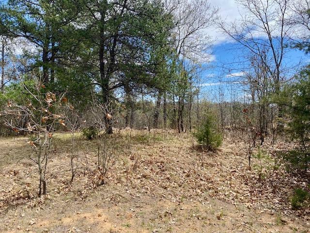 Property Photo: Lot 1 Ridgewood WI 53934