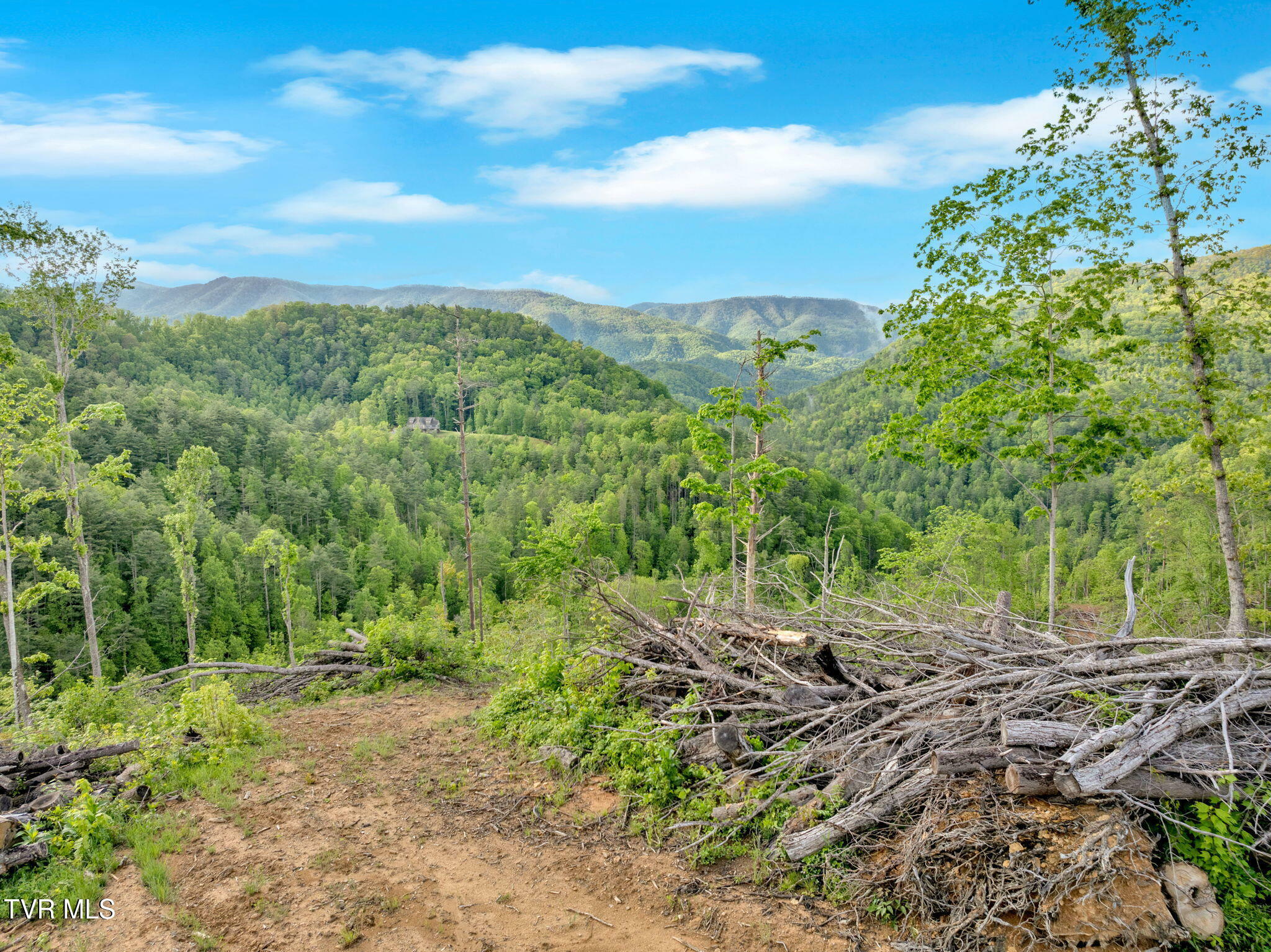 Property Photo: 59.8 Acres Willis Cove Road TN 37650