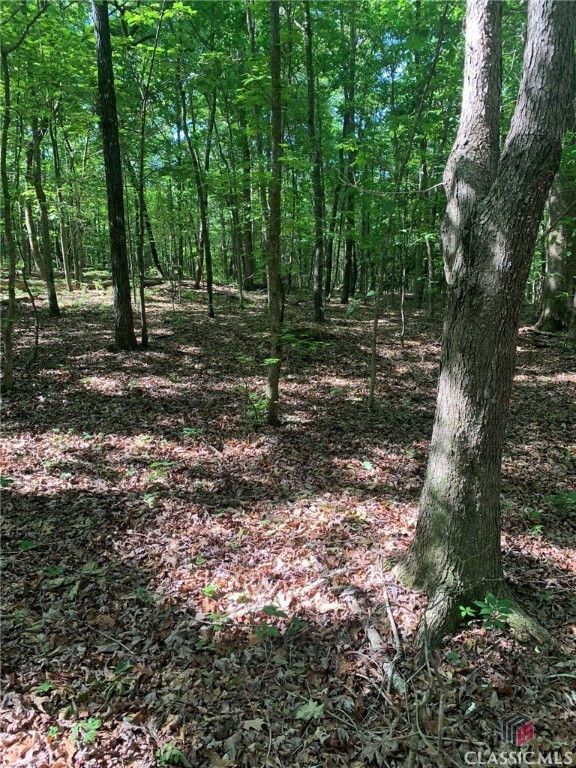 Property Photo: 7700 Poole Circle Tract B GA 30510