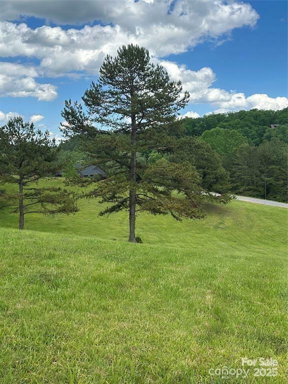 Property Photo: 91 Meadows Station Drive 50 NC 28761