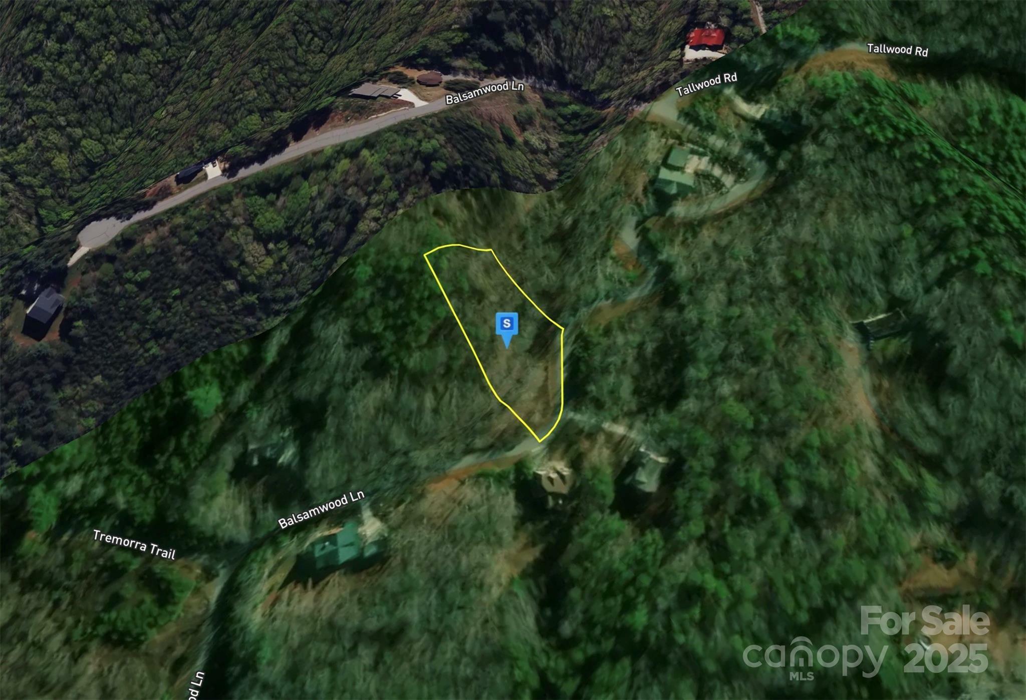 Property Photo: 38 Balsamwood Road NC 28748