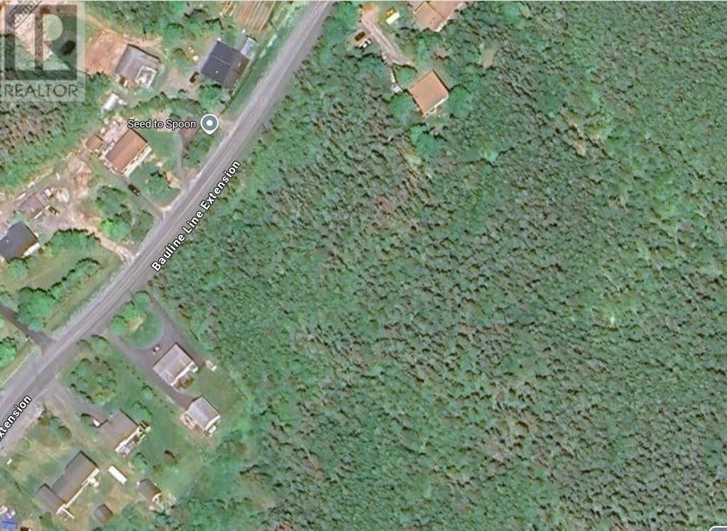 Photo de la propriété:  134 Bauline Line Extension  NL A1M 2V5 