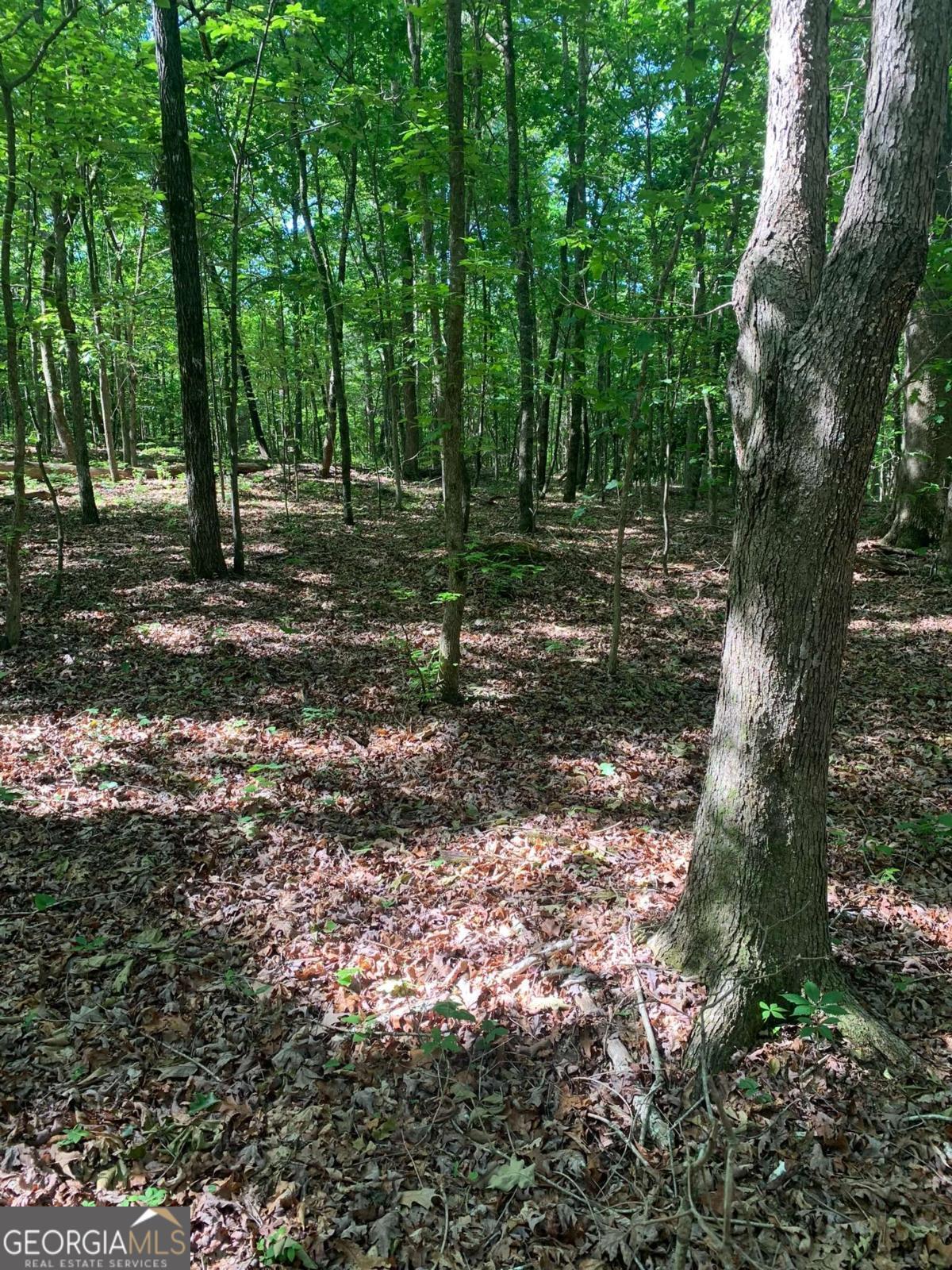 Property Photo: 7700 Poole Circle Tract A GA 30510