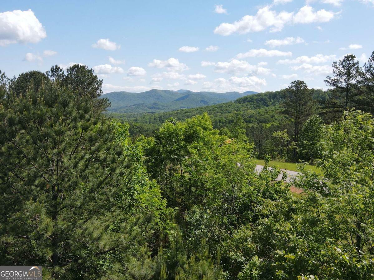Property Photo: Lot 379 Marshall Rise Road GA 30512