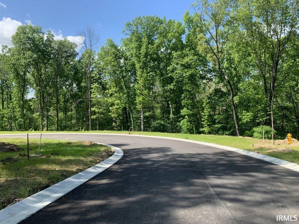 Property Photo: Lot 54 Drive IN 47725