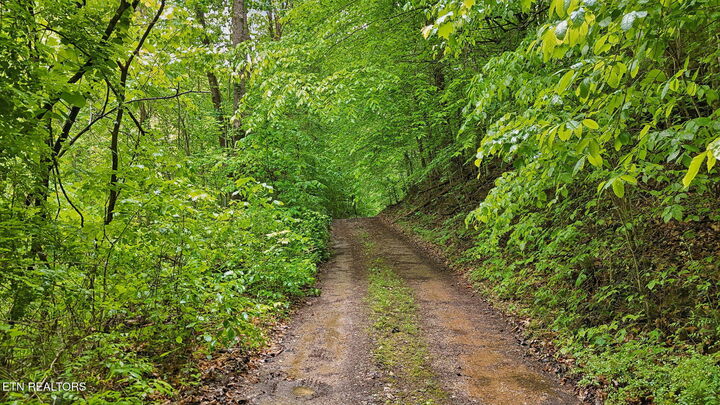 Property Photo: 201 Birch Hollow Rd TN 37807