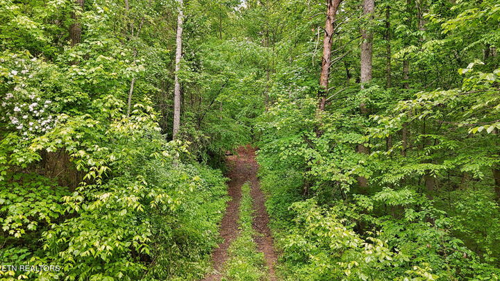 Property Photo:  201 Birch Hollow Rd  TN 37807 