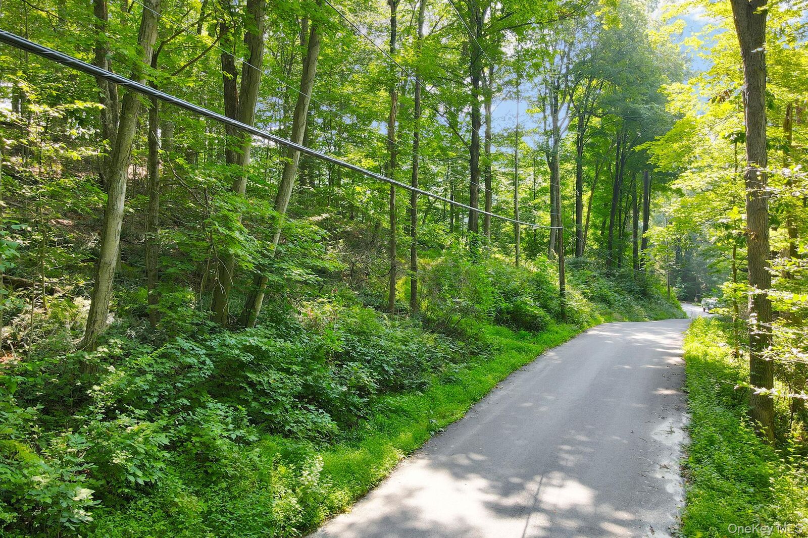 Property Photo:  34 Gordon Road  NY  