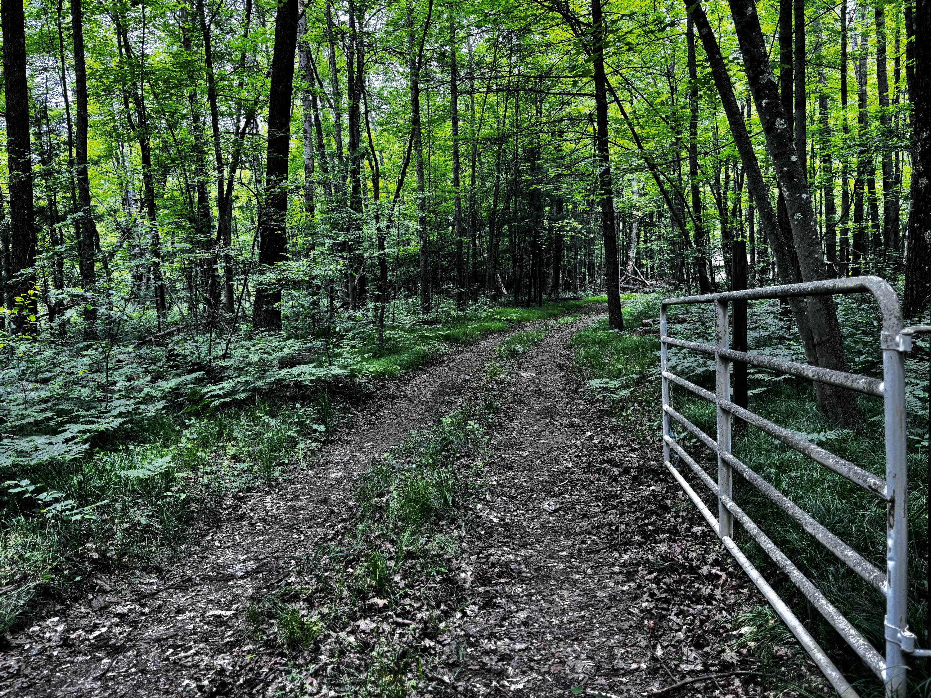 Property Photo: 1698 W Carnahan Drive MI 49304