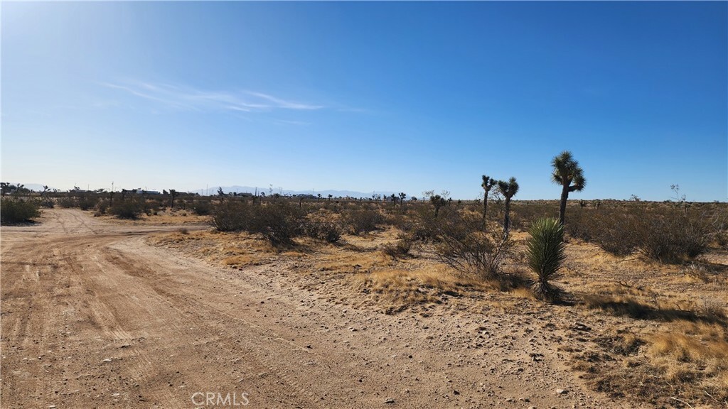 Property Photo: 0 Danbury Road CA 92371
