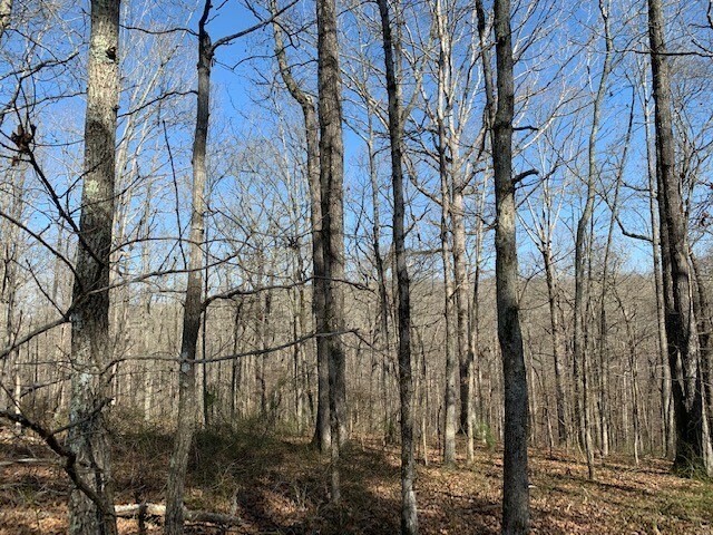 Property Photo: 146 Quail Ridge Rd TN 38483