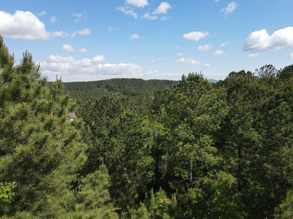 Property Photo: Lot 379 Marshall Rise Road GA 30512