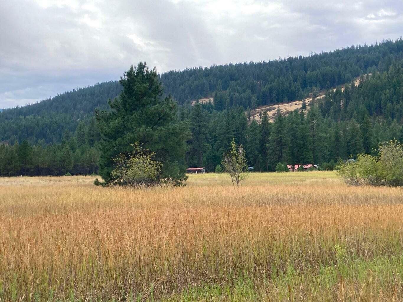 Property Photo: 3349 Rockcut Rd WA 99141