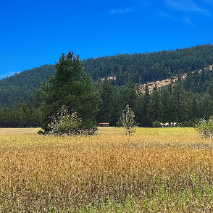 3349 Rockcut Rd  Kettle Falls WA 99141 photo