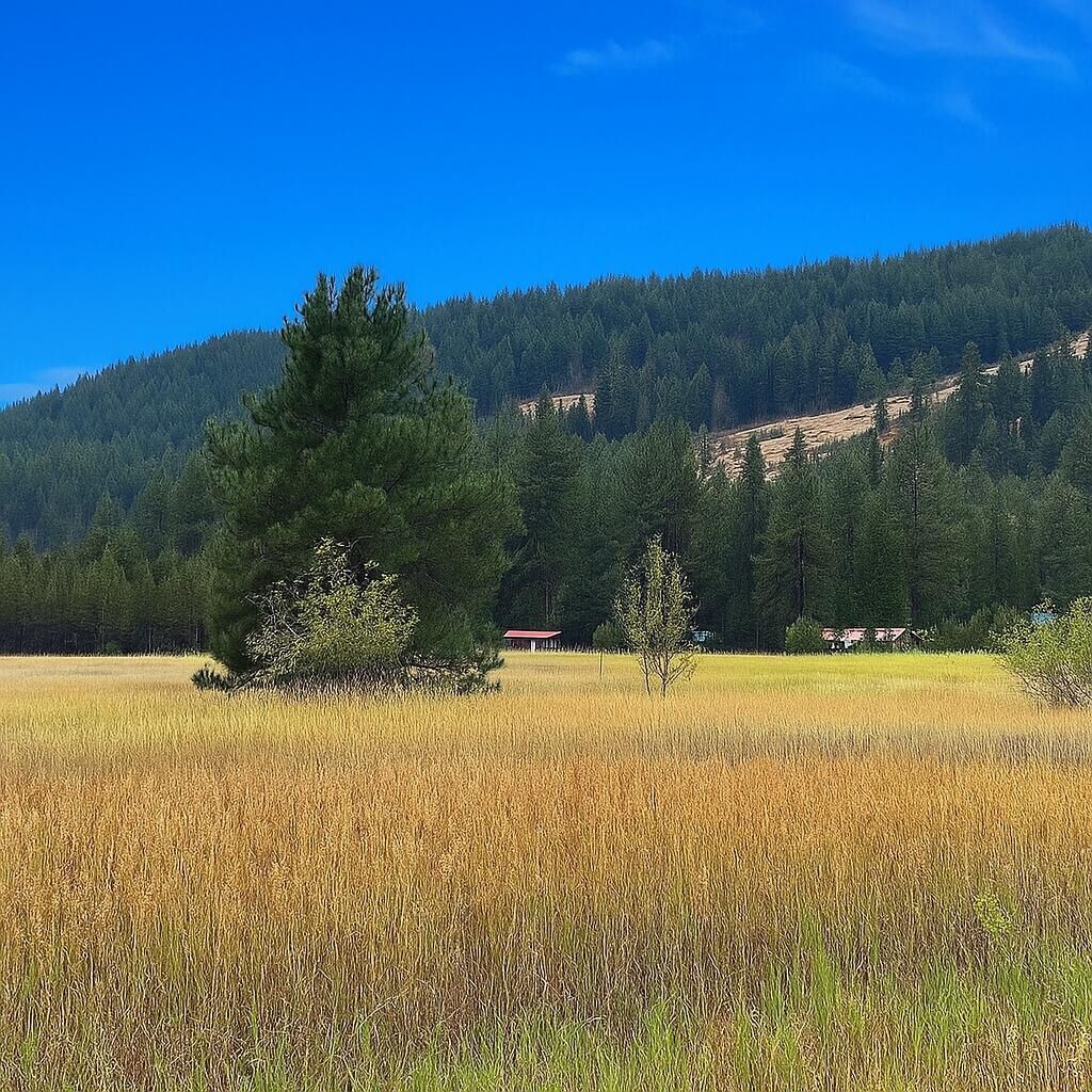 Property Photo:  3349 Rockcut Rd  WA 99141 