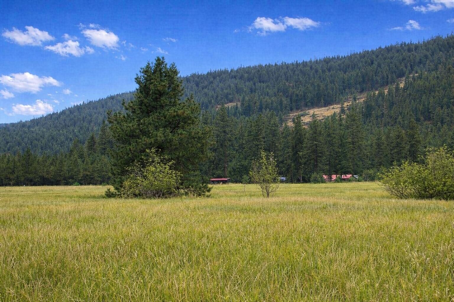 Property Photo:  3349 Rockcut Rd  WA 99141 