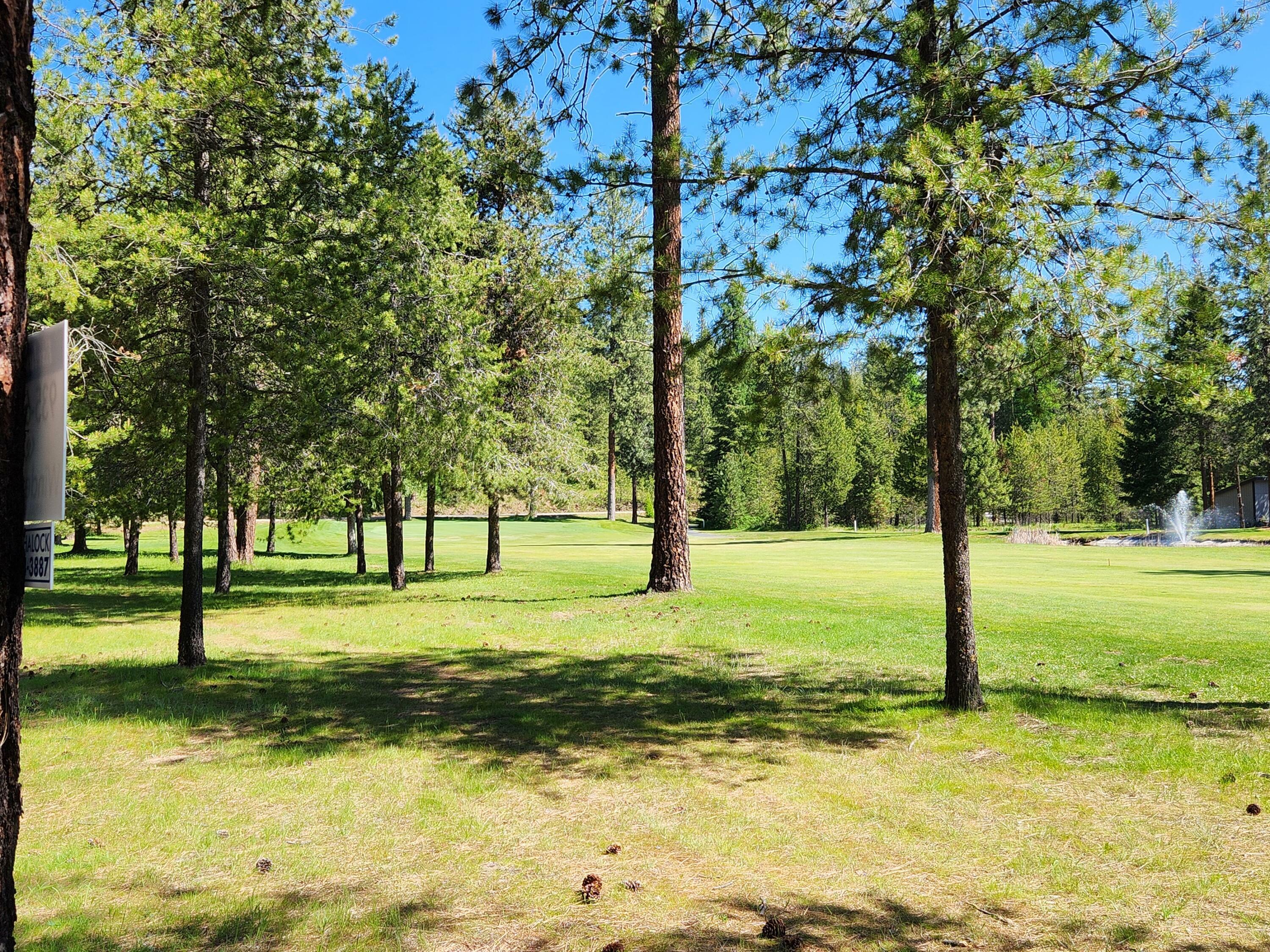 Property Photo: Lot 4 Couples Ct WA 99109