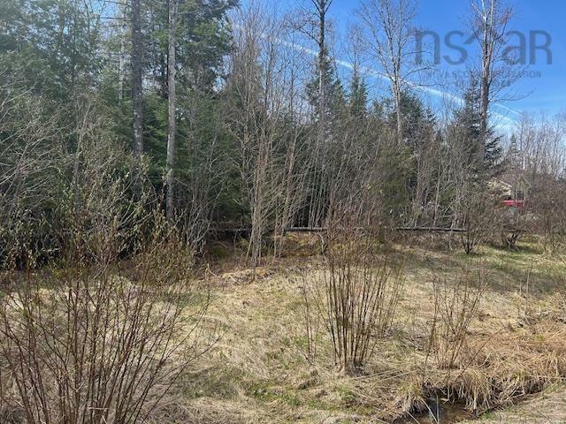 Photo de la propriété:  Lot B13 Woodville Road  NS B0N 2A0 
